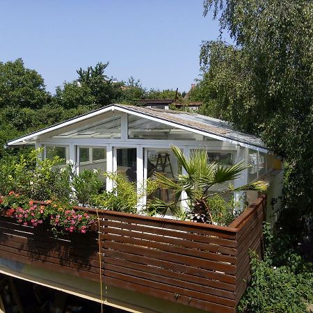Greenhouse Just 15 Min From The Old Town Bratislava Extérieur photo
